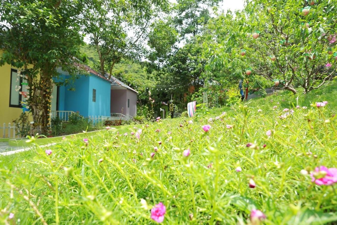 Windy Hill Catba Homestay Hai Phong Exterior photo